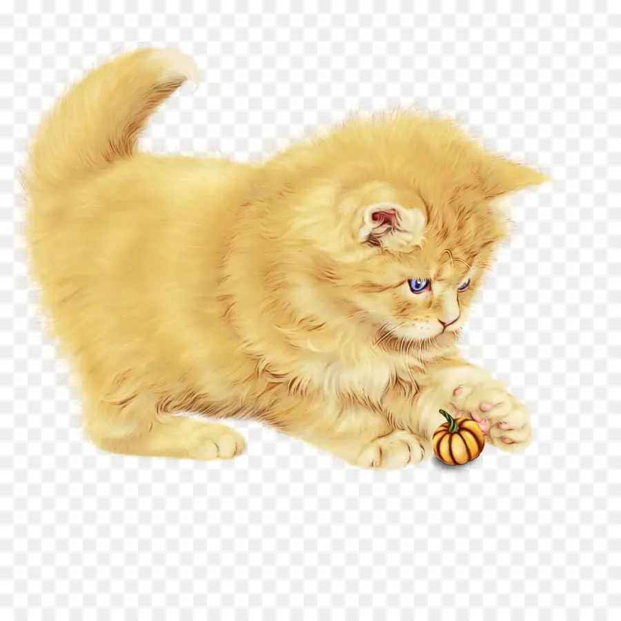 Котенок，играя PNG