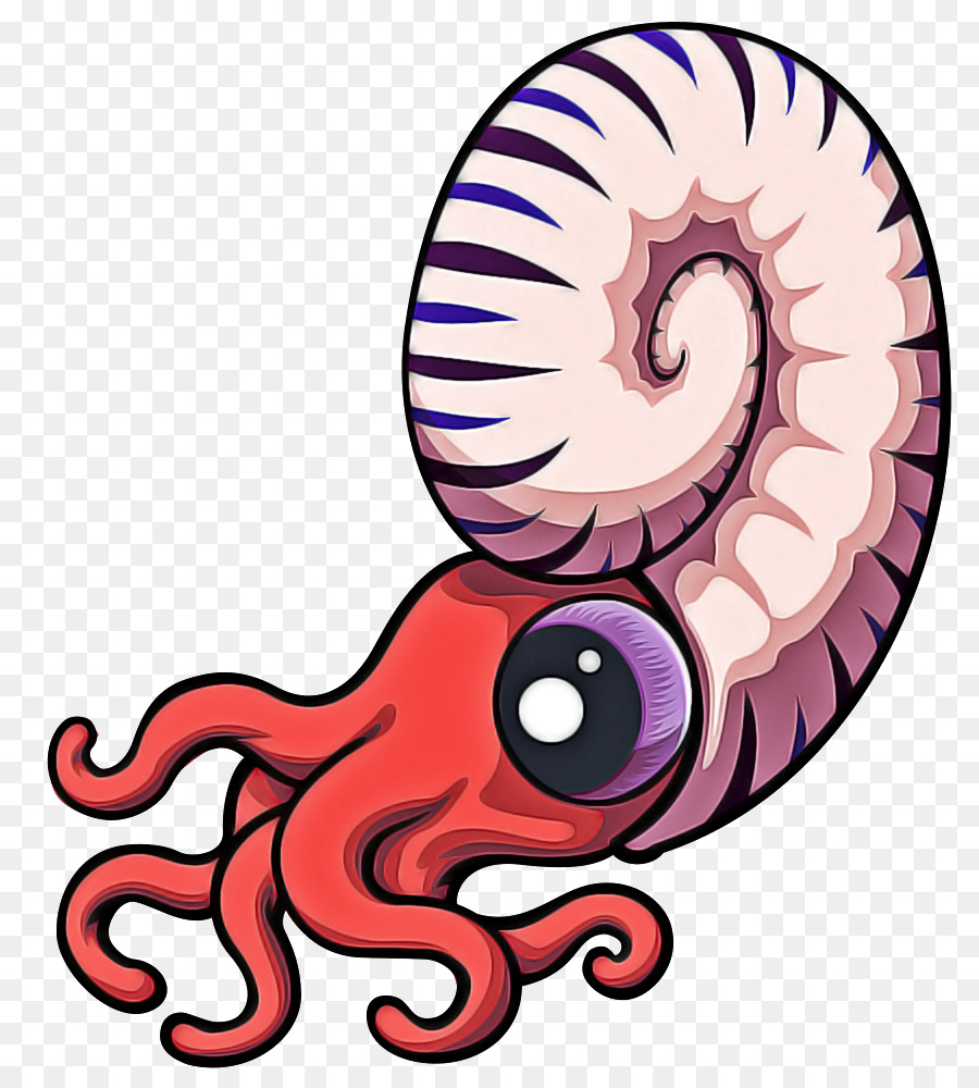гигантский Тихоокеанский осьминог，Осьминог PNG