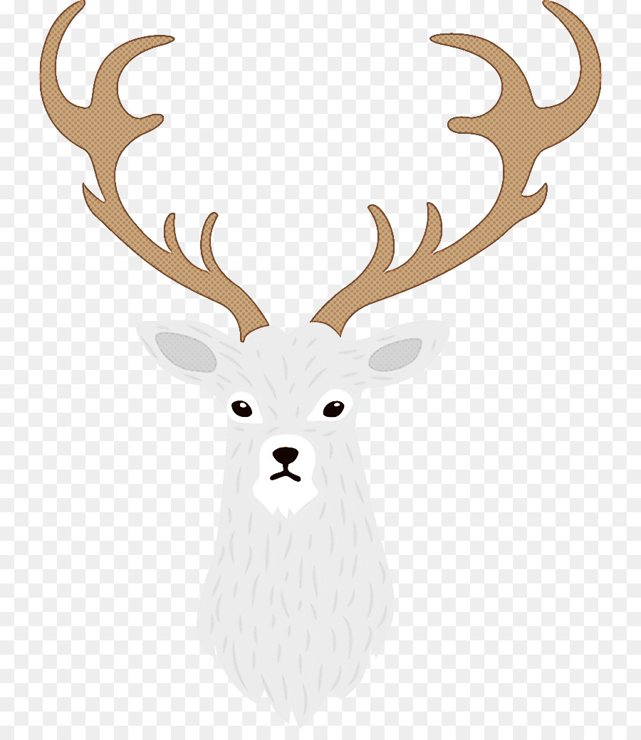 белый，Reindeer PNG