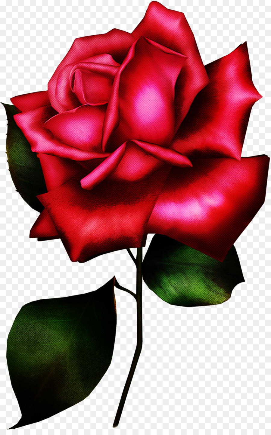 Сад роз，красный PNG