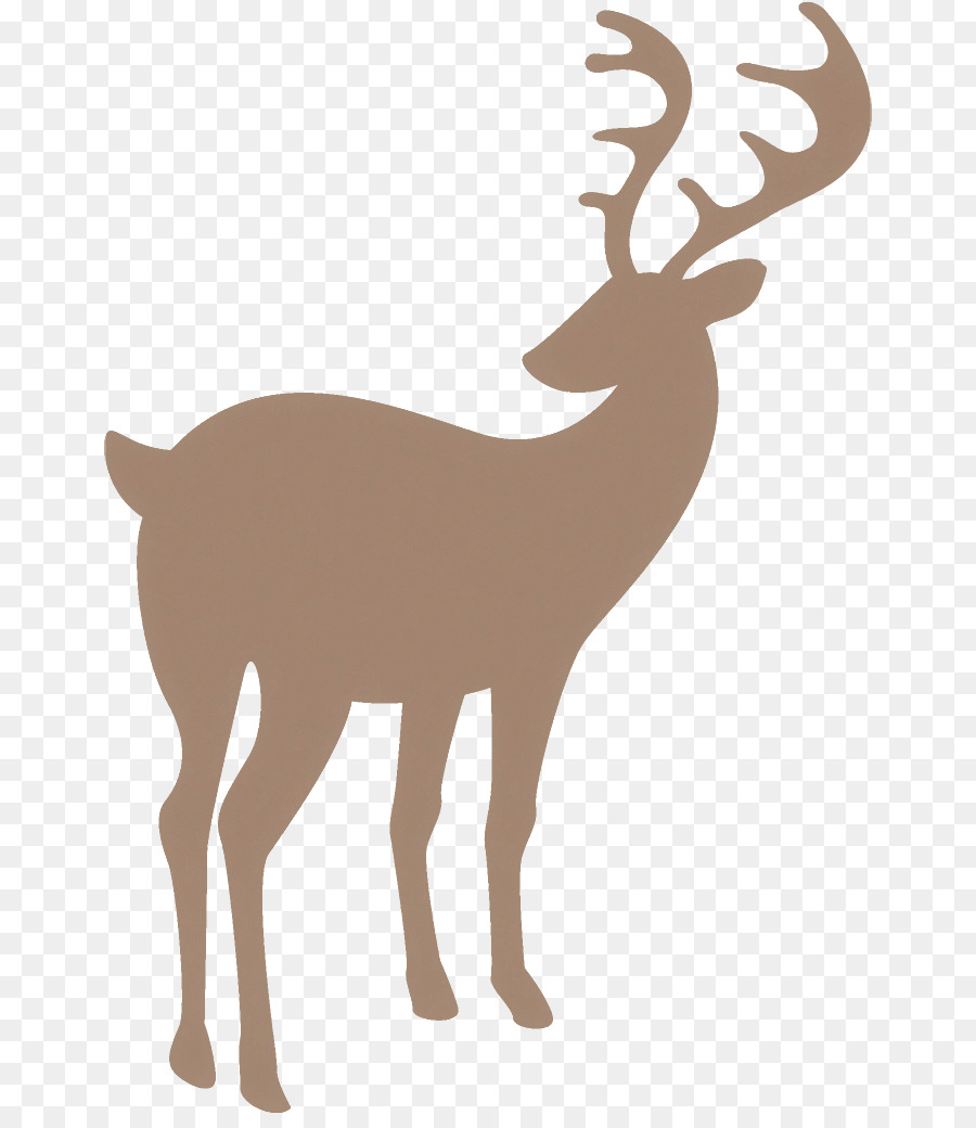 Reindeer，олень PNG