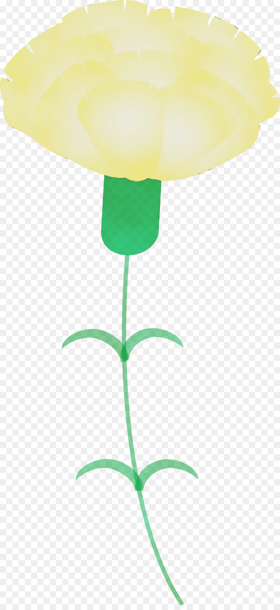 желтый，растение PNG