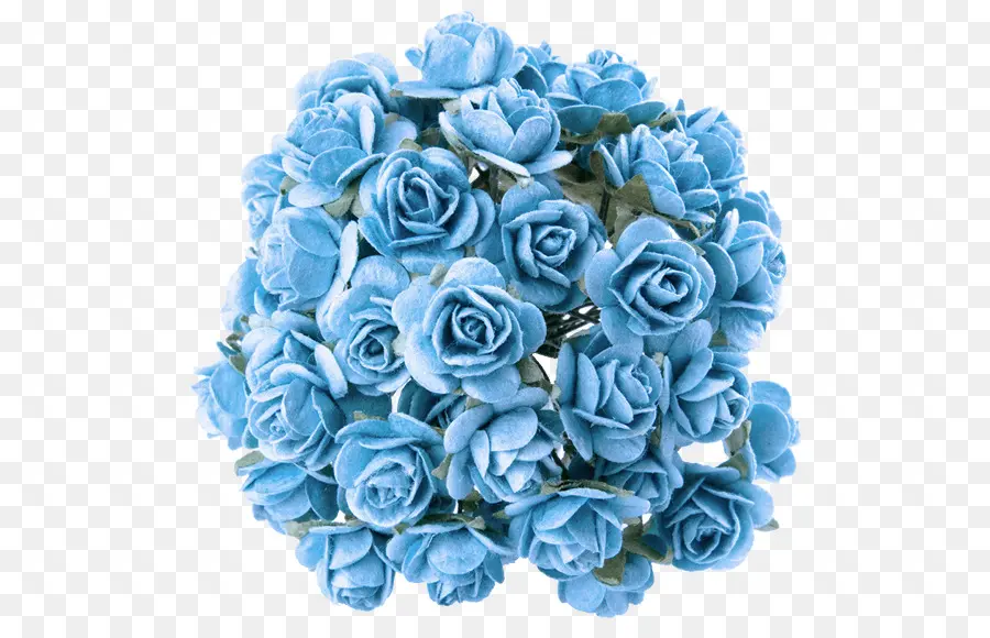 цветок，синий PNG