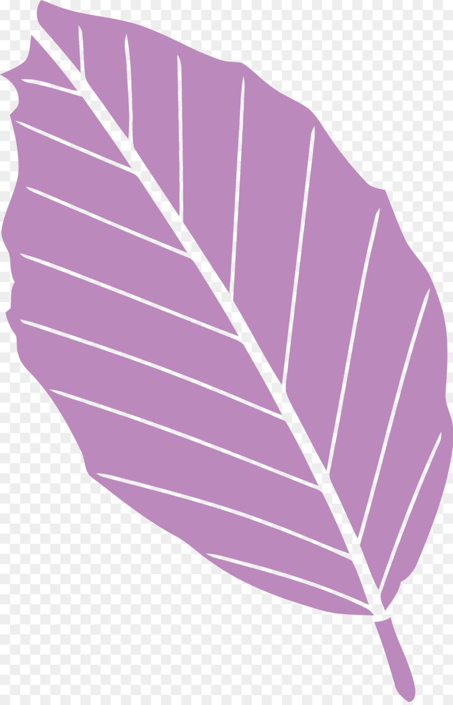 Лист，фиолетовый PNG