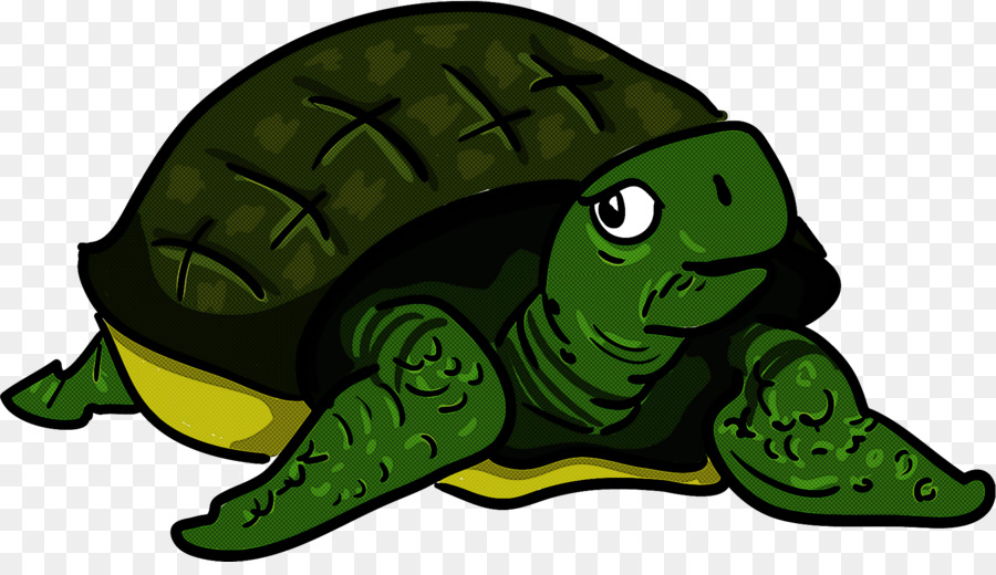 transparent-turtle-green-tortoise-reptile-5e222733b54401.8055922815792965637425.jpg