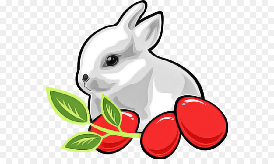 Кролик，кролики и зайцы PNG