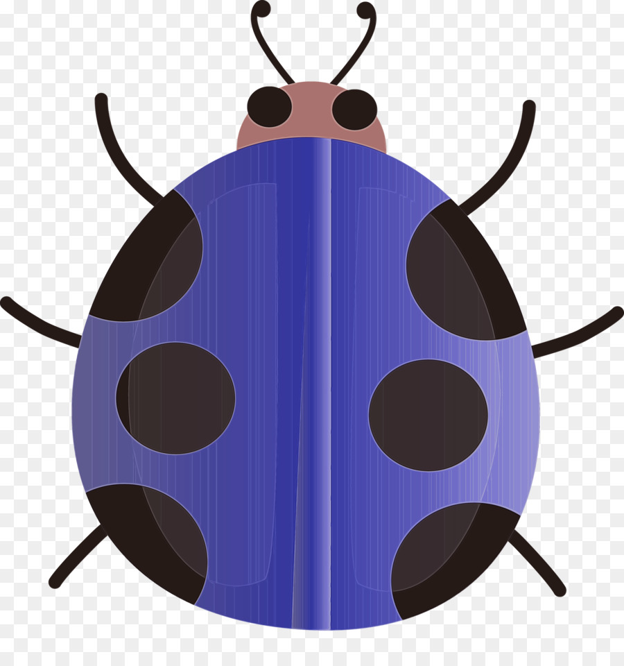 фиолетовый，насекомое PNG