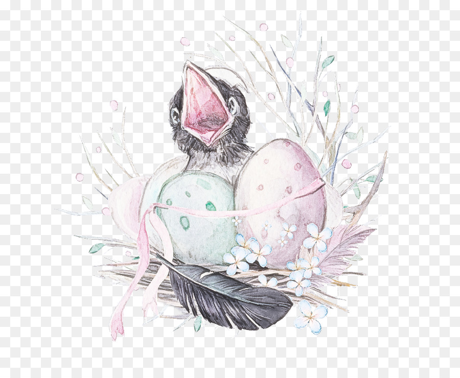 Птичье гнездо，яйцо PNG