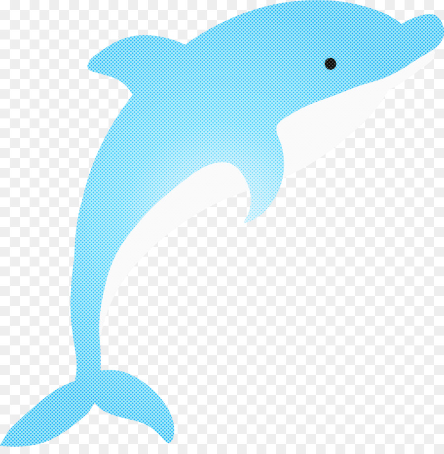 Дельфин，Bottlenose Dolphin PNG