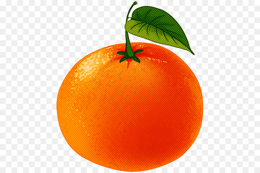 Dibujo mandarina