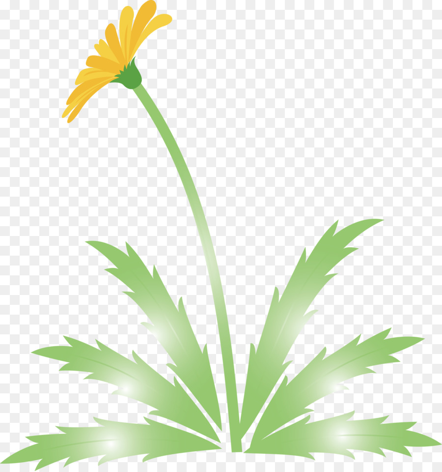 Лист，цветок PNG