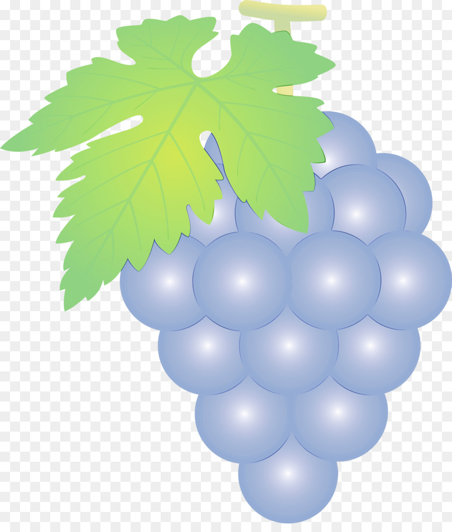 виноград，Бессемянные плоды PNG