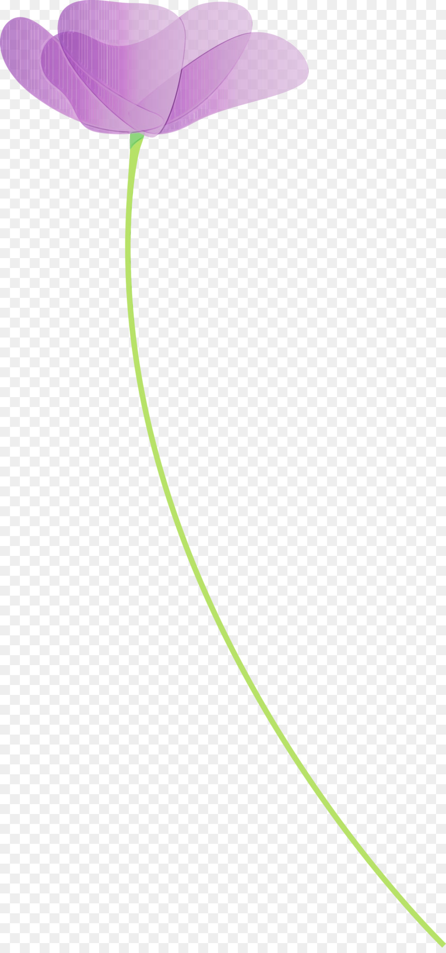зеленый，линия PNG