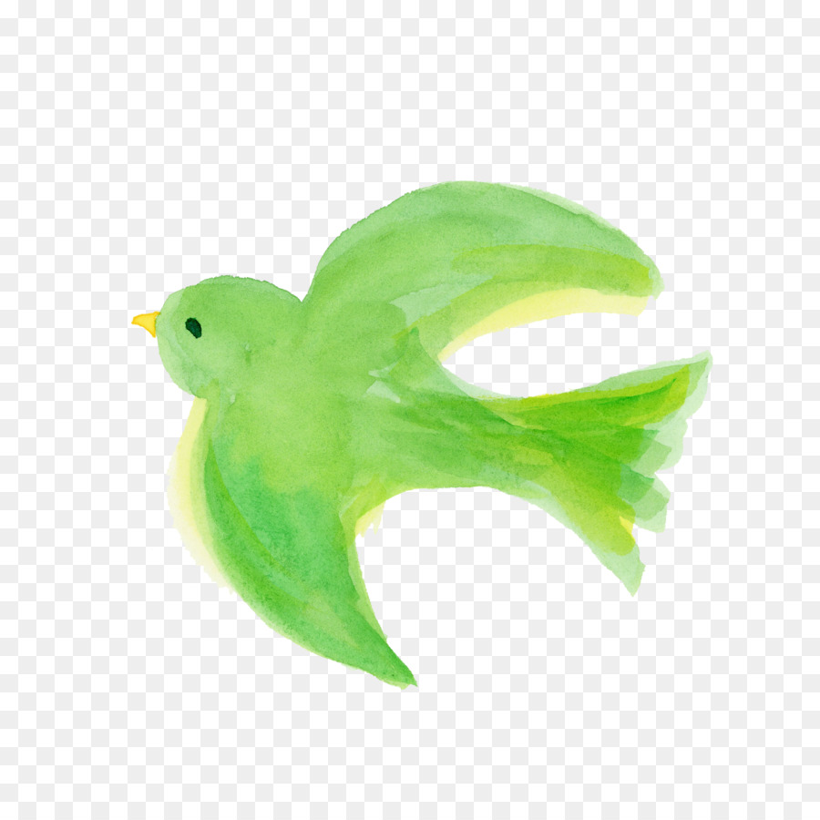 зеленый，Птица PNG