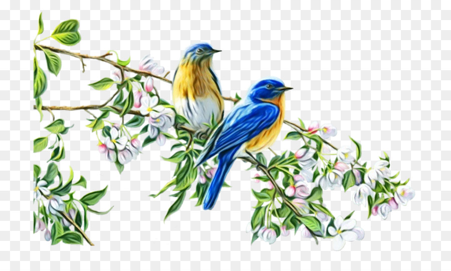 птица，синяя птица PNG