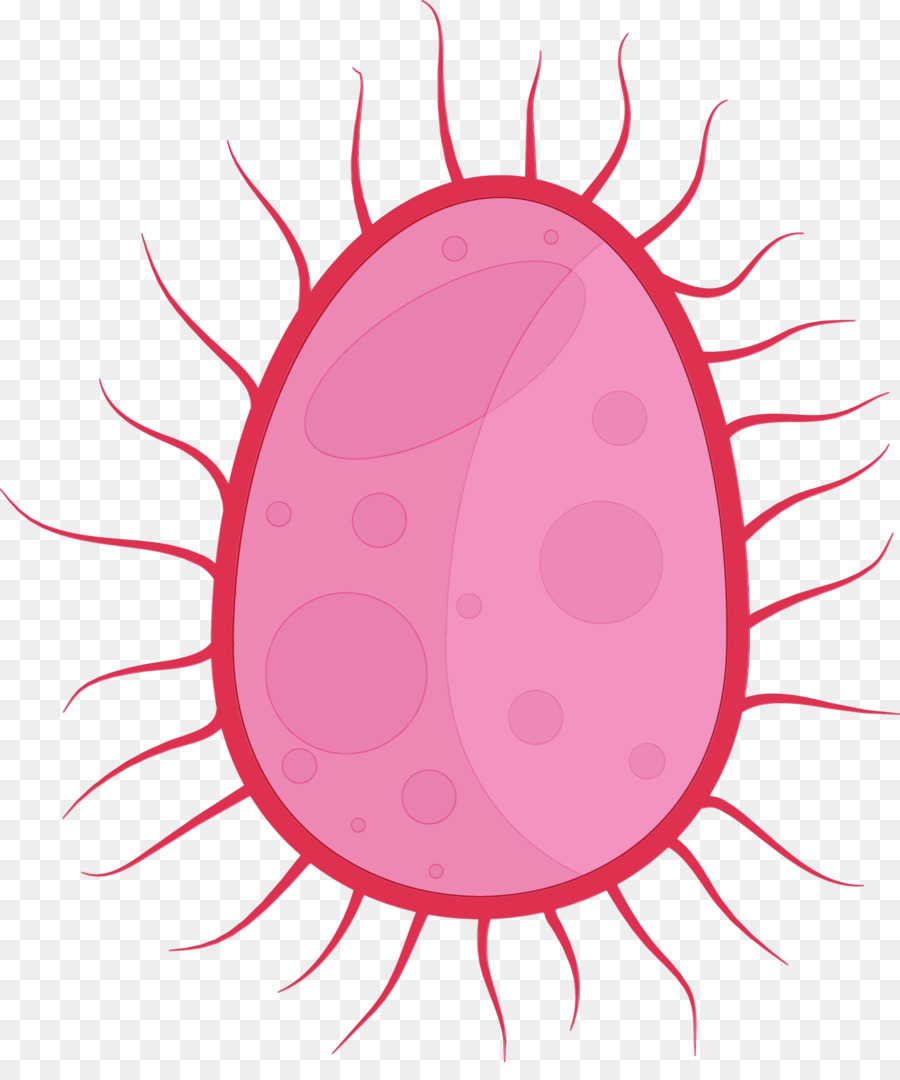 Бактерии，Микроб PNG