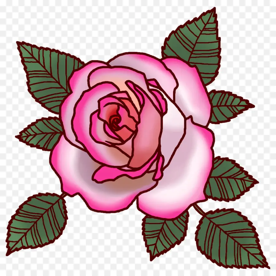садовые розы，капуста роза PNG