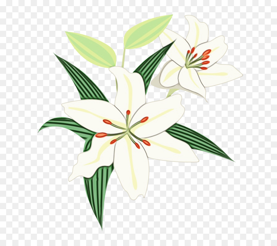 цветочный дизайн，Стебель растения PNG