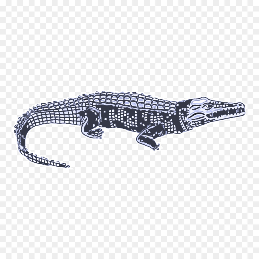 крокодилы，ювелирные изделия PNG