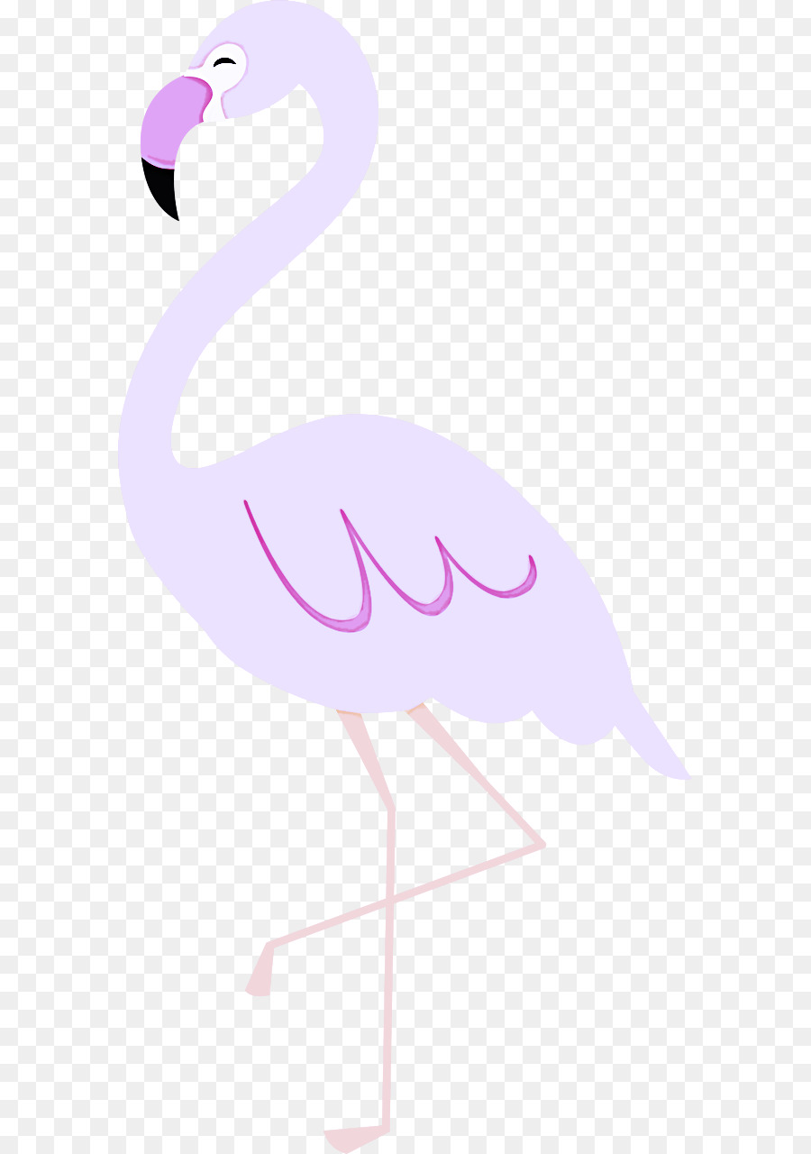 Фламинго м，клюв PNG