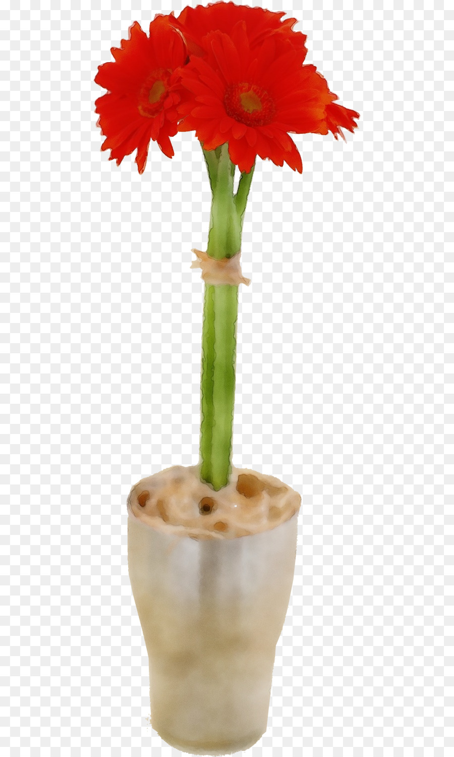 цветок，посадить стебель PNG