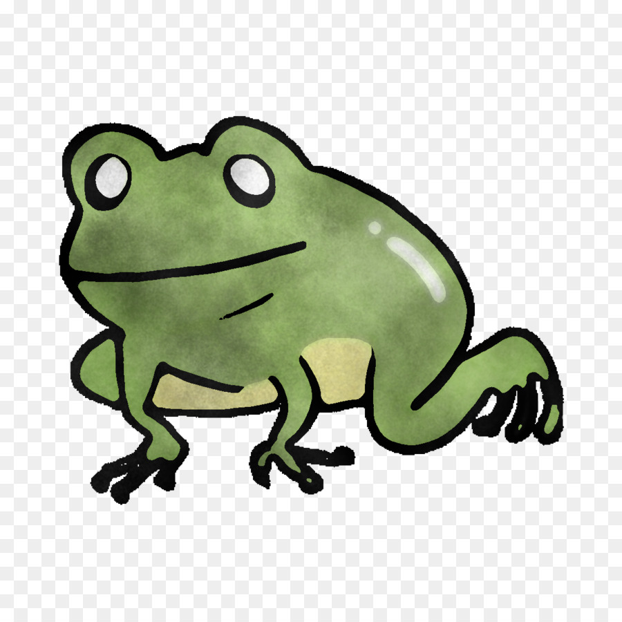 жаба，правда лягушка PNG
