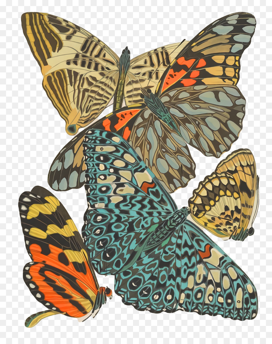 бабочка монарх，Бабочки с щеткой PNG