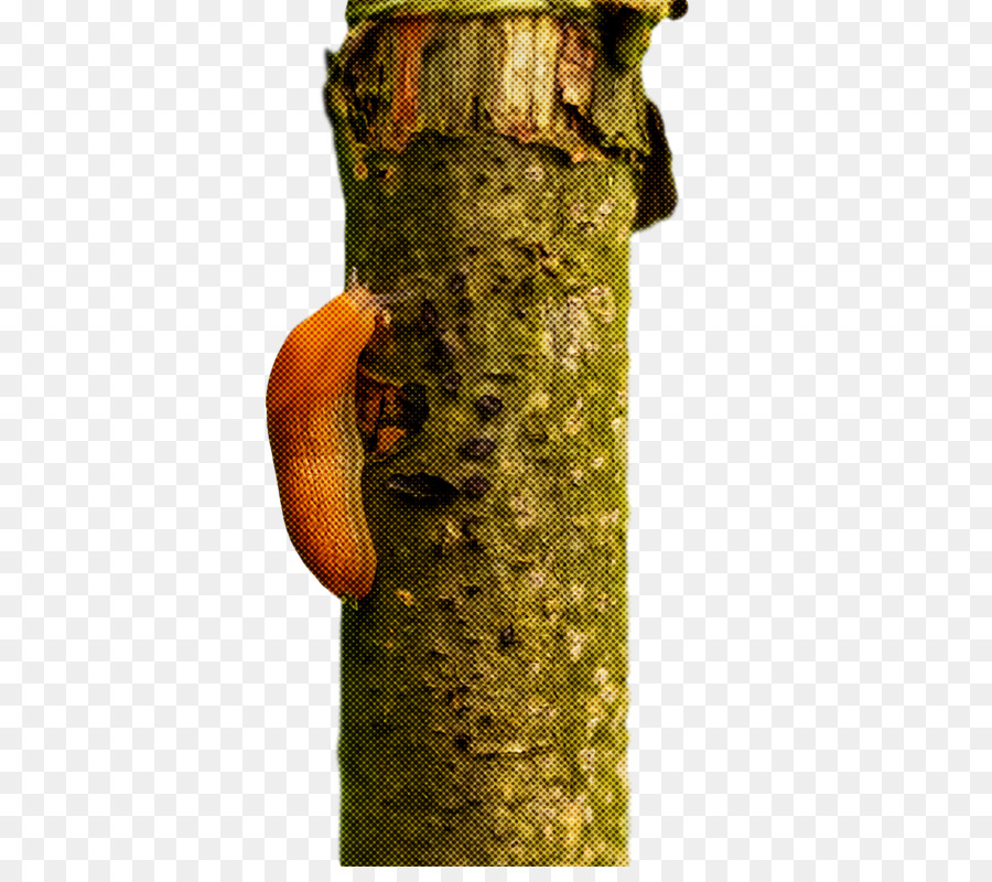 Дерево， PNG