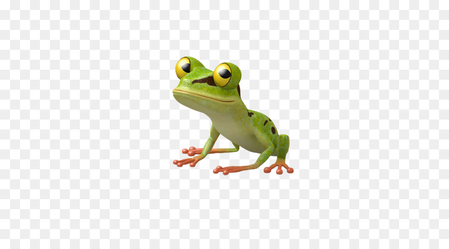 настоящая лягушка，жаба PNG