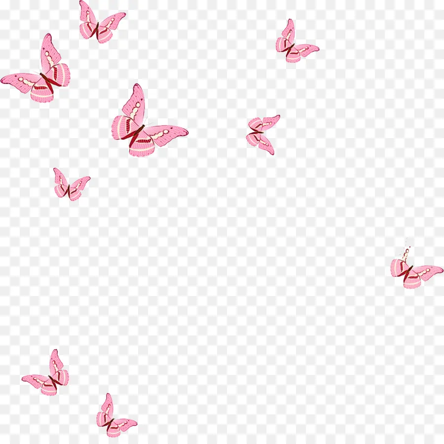 бабочки，Борболета PNG
