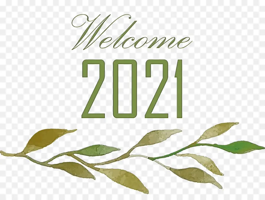 привет 2021，Новый год PNG
