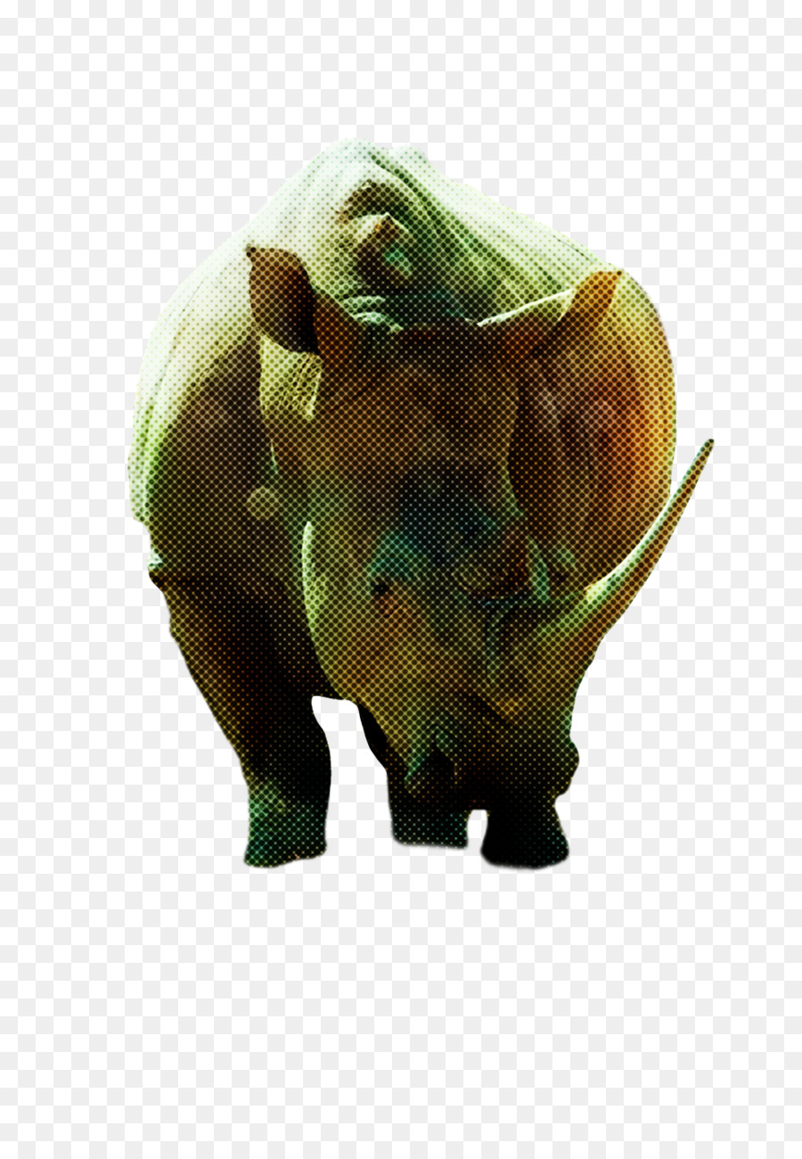 морда，носорог PNG