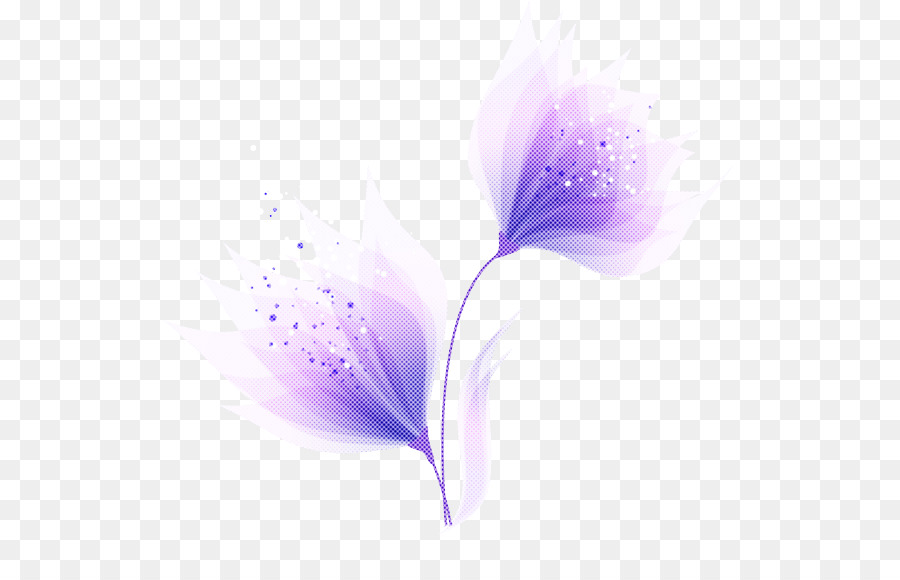лепесток，цветок PNG