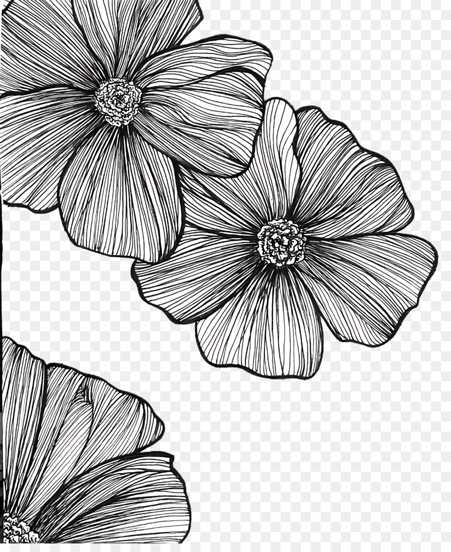 черное и белое，срезанные цветы PNG