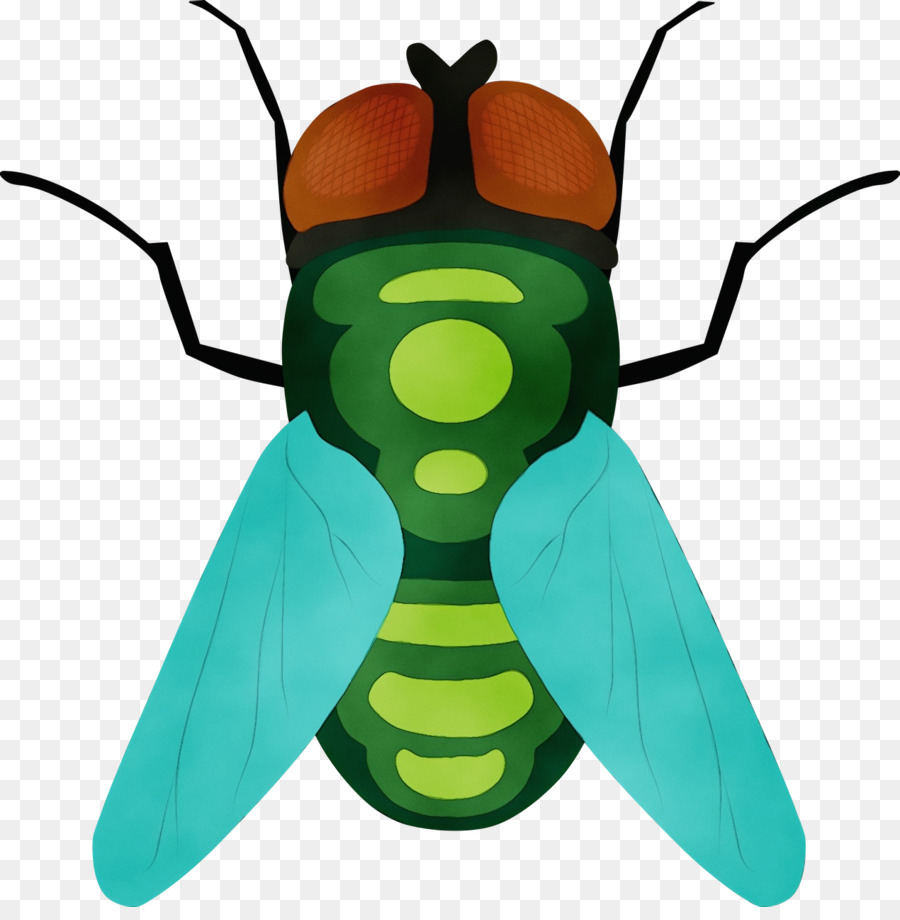 насекомое，насекомое крыло PNG