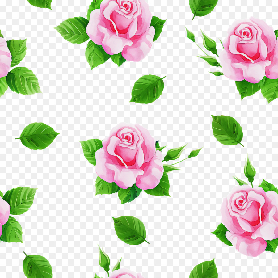садовые розы，срезанные цветы PNG