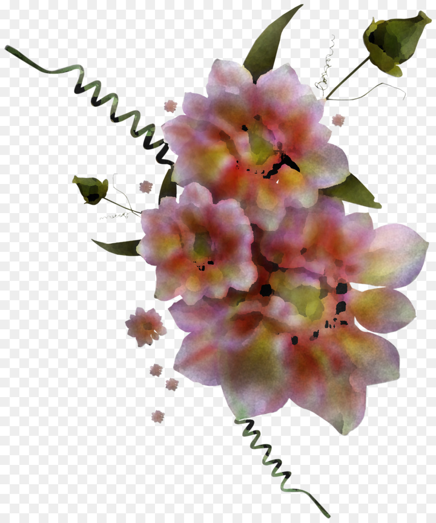 цветочный дизайн，лепесток PNG