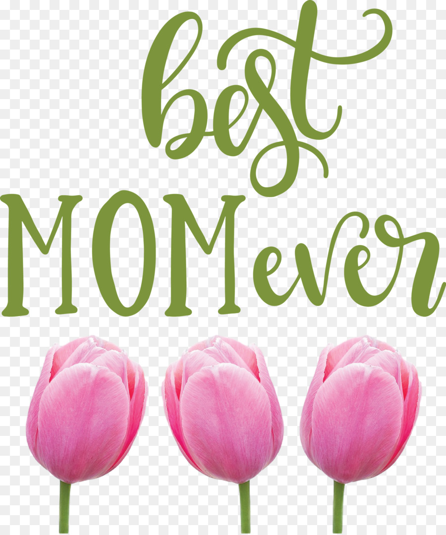 Mothers Day，цветок PNG