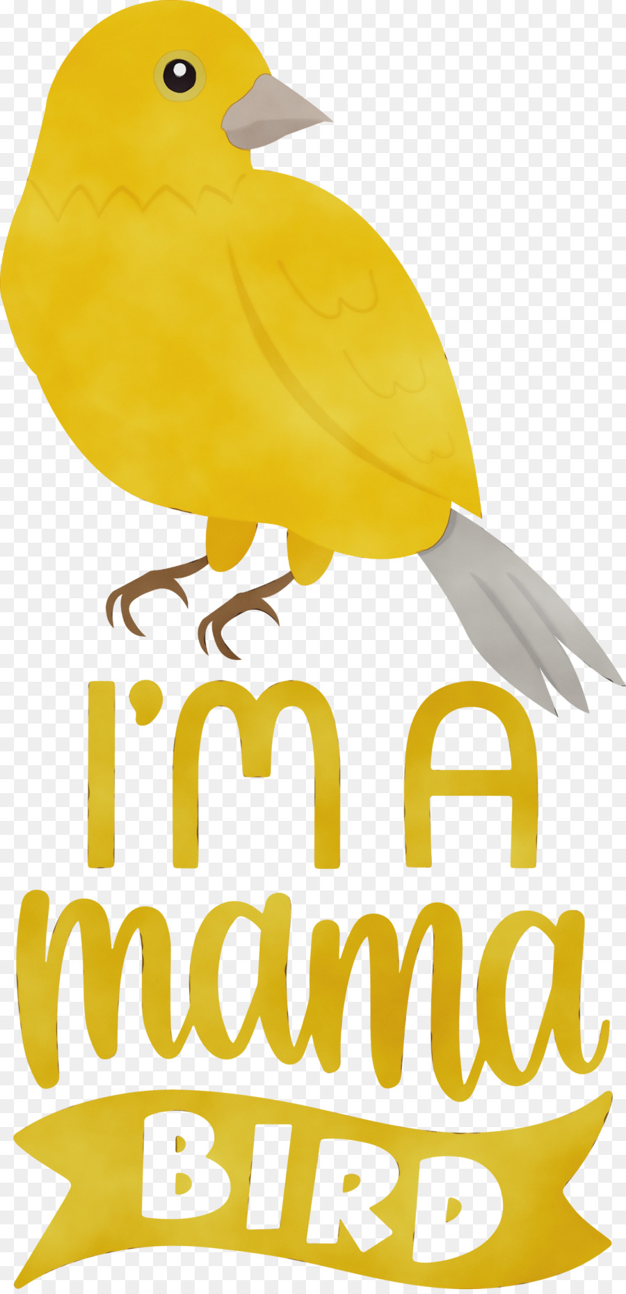 Birds，Клюв PNG