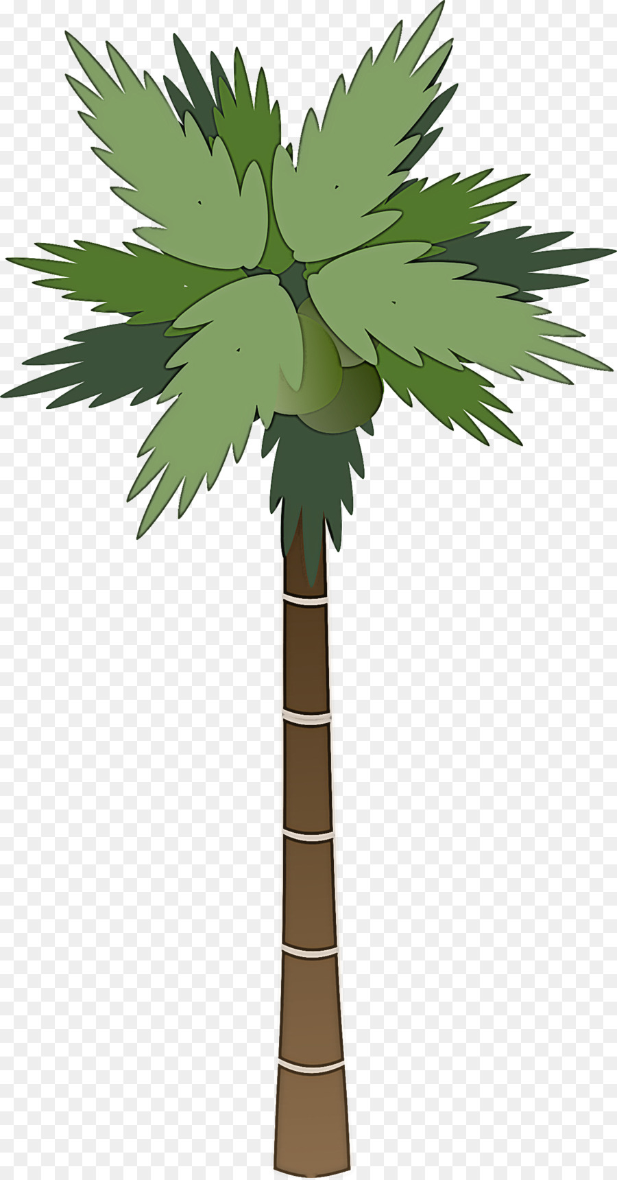 пальмовые деревья，мультфильм PNG