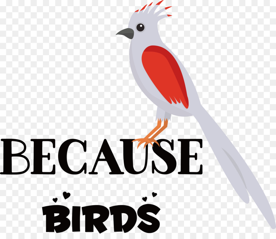 Birds，логотип PNG