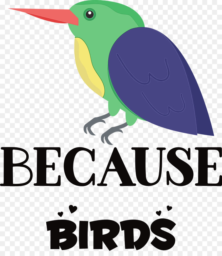 Birds，логотип PNG