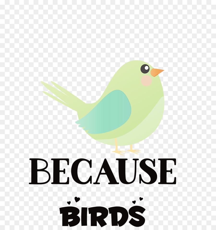 Birds，логотип PNG