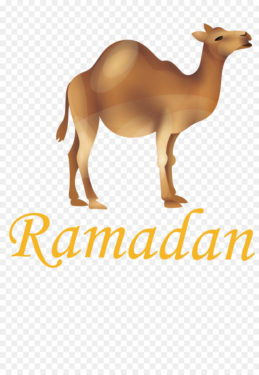 олень，Camels PNG