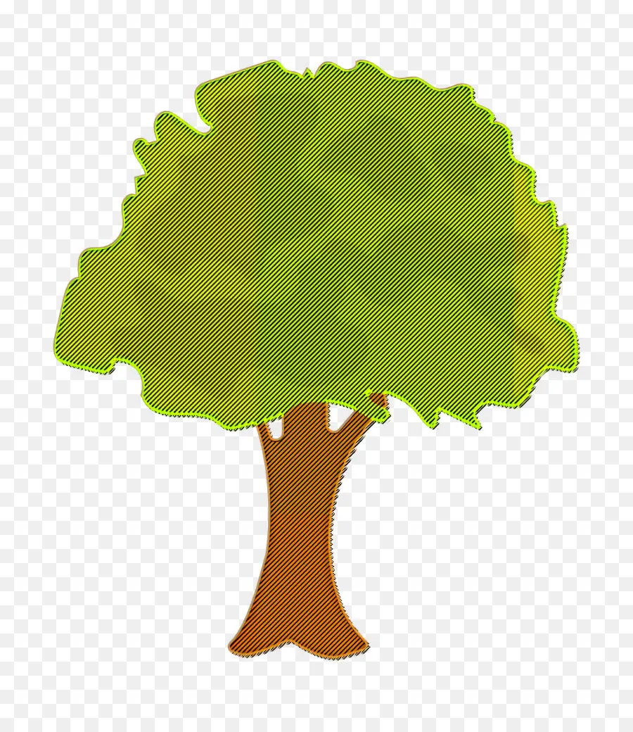 Лист，Дерево PNG