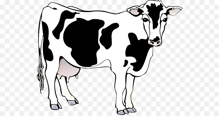 Молочный скот，Мурра Баффало PNG