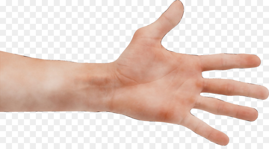 руки，палец PNG