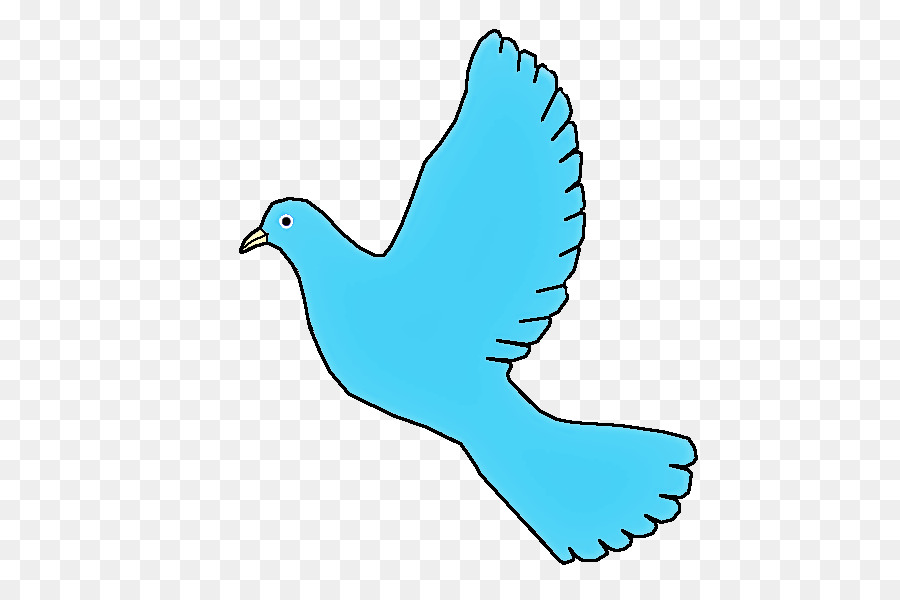 Birds，Клюв PNG