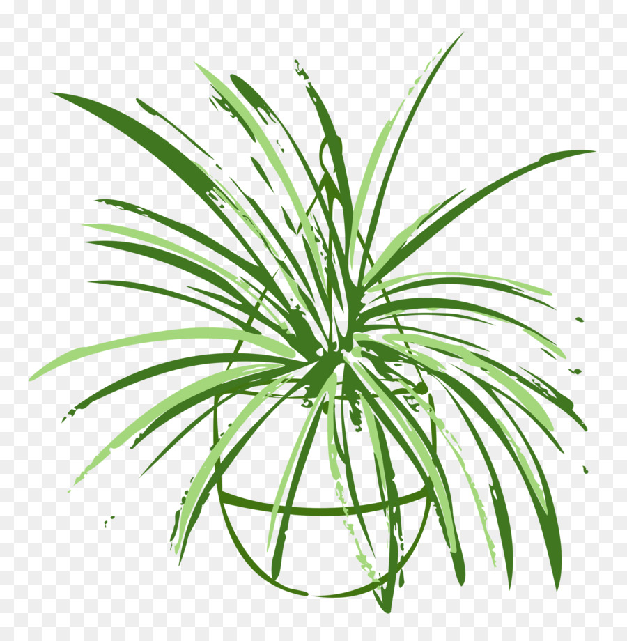 Лист，Grasses PNG