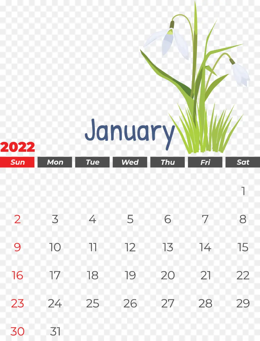 Календарь，Названия дней недели PNG